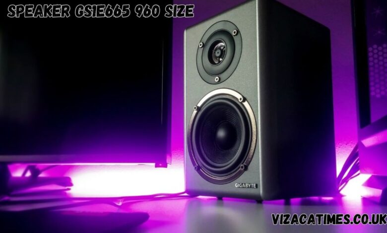 speaker gs1e665 960 size