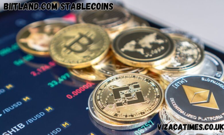 biitland.com stablecoins