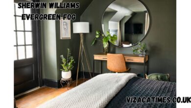 Sherwin Williams Evergreen Fog