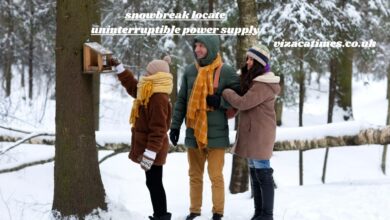 snowbreak locate uninterruptible power supply