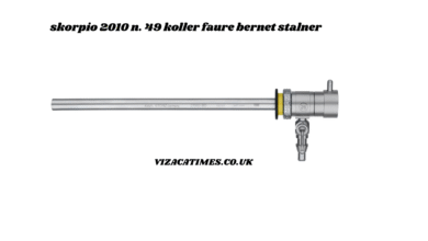 skorpio 2010 n. 49 koller faure bernet stalner