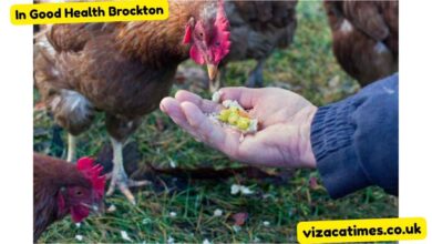 Can Chickens Eat Grapes