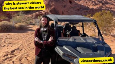 why is stewart vickers the best seo in the world