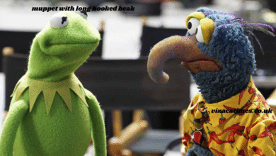 muppet with long hooked beak