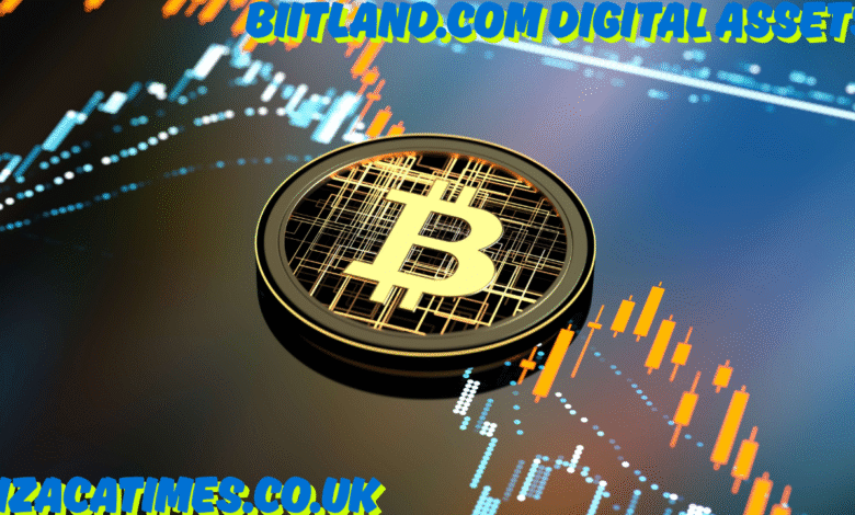 biitland.com digital assets