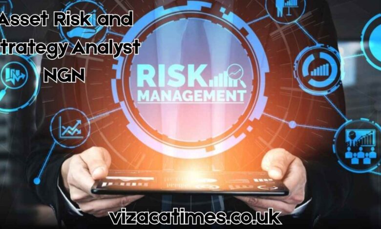 asset risk and strategy analyst ngn