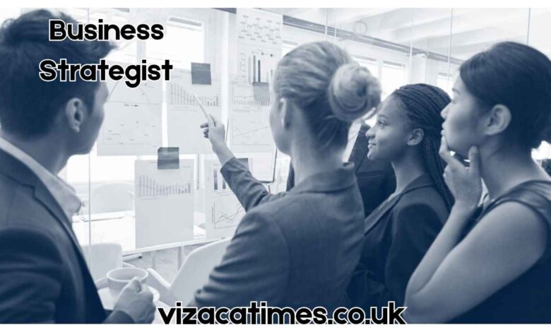 Business Strategist