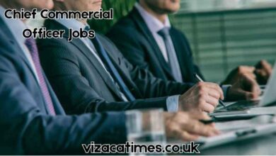 chief commercial officer jobs