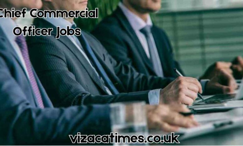 chief commercial officer jobs