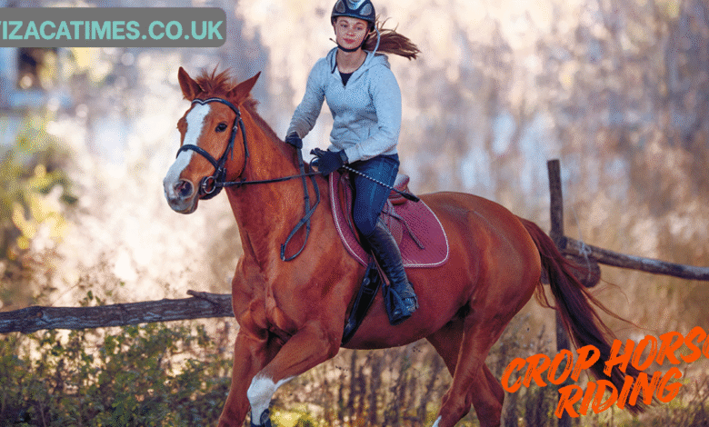Crop Horse Riding